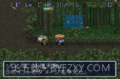 不可思议的迷宫（风来的西林）截图4