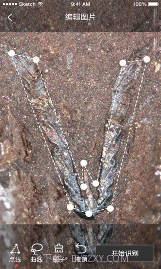 AIFossil截图1 AIFossil截图1