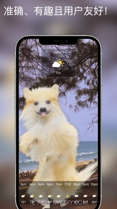 狗天气直播截图5 狗天气直播截图5