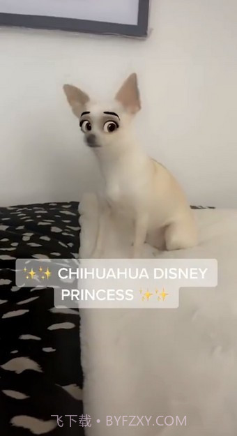 迪士尼滤镜截图3