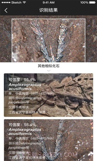 AIFossil截图4 AIFossil截图4