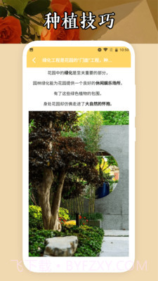 小小花店种养截图1 小小花店种养截图1