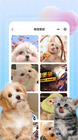 美好生活壁纸秀截图4