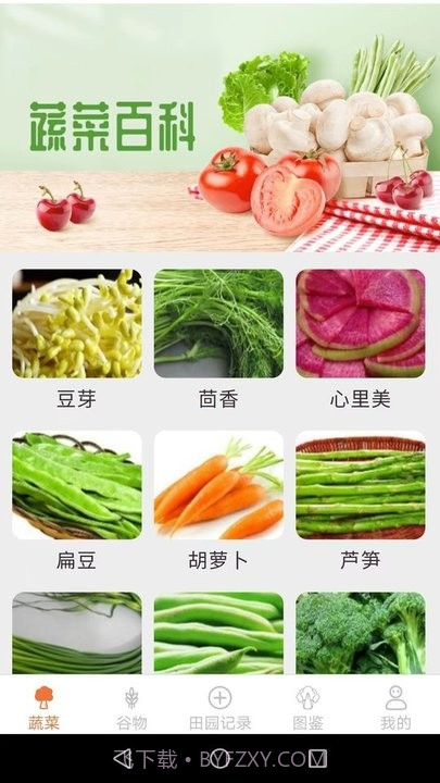 口袋田园百科知识截图1