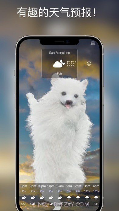 狗天气直播截图1 狗天气直播截图1