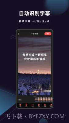 爱字幕2021截图1