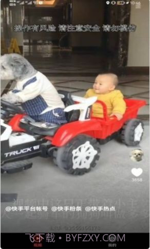 宠物趣看截图3 宠物趣看截图3