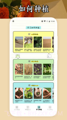 小小花店种养截图3 小小花店种养截图3