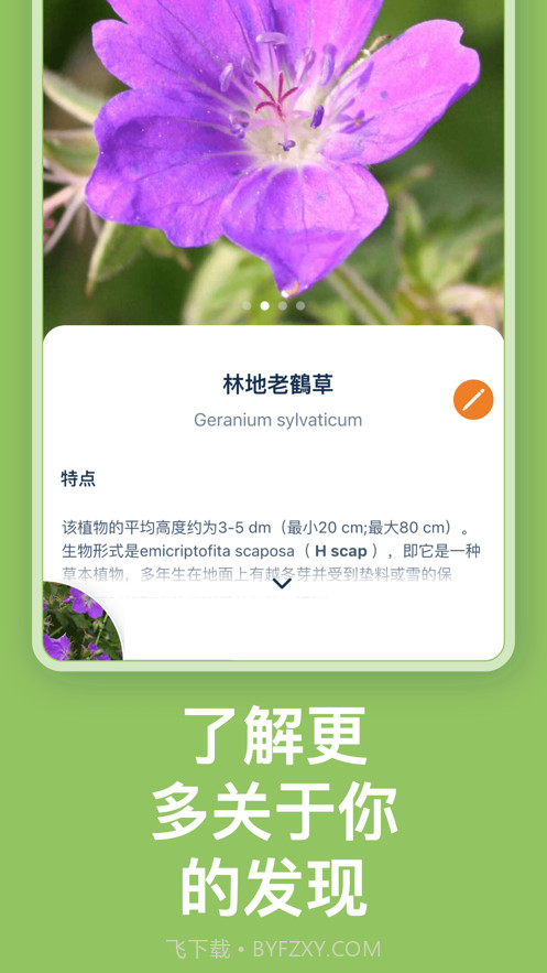 Flora Incognita植物识别截图2 Flora Incognita植物识别截图2