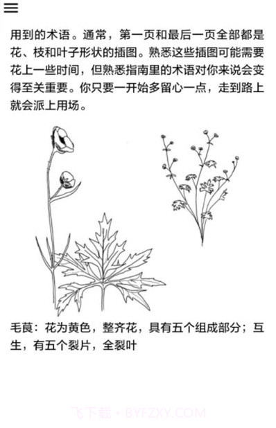 野外植物识别手册截图4 野外植物识别手册截图4