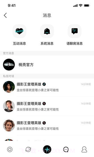 桃壳车主版截图4