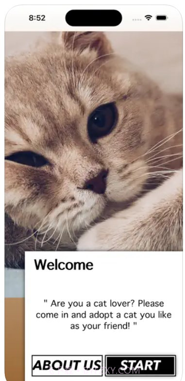 爱猫物语宠物店1.0截图3