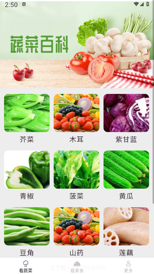 小鹿爱看截图4 小鹿爱看截图4