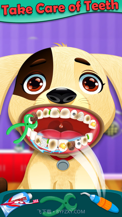 宠物牙医截图5 宠物牙医截图5