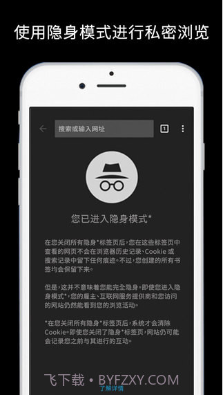 谷歌浏览器Chrome截图5