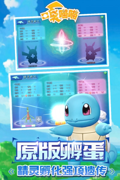 口袋喵喵最新版截图1