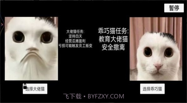 猫猫惊魂夜截图1
