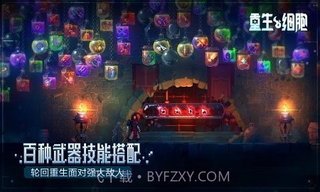 重生细胞无邪魔极天道截图3