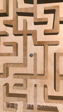 3D经典迷宫游戏截图5