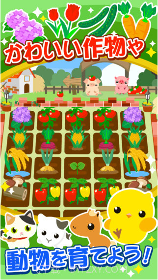 小鸡与农场截图2 小鸡与农场截图2