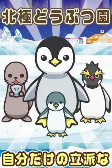 北极动物园九游版截图1