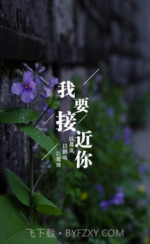 为你写诗(为你写诗软件下载)V3.3.9 截图3