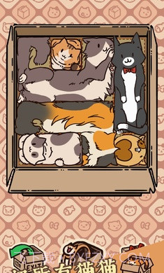 盒子猫截图3 盒子猫截图3