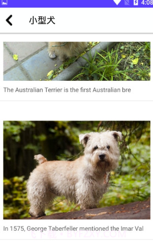 狗狗图鉴截图1 狗狗图鉴截图1