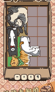 盒子猫截图1 盒子猫截图1