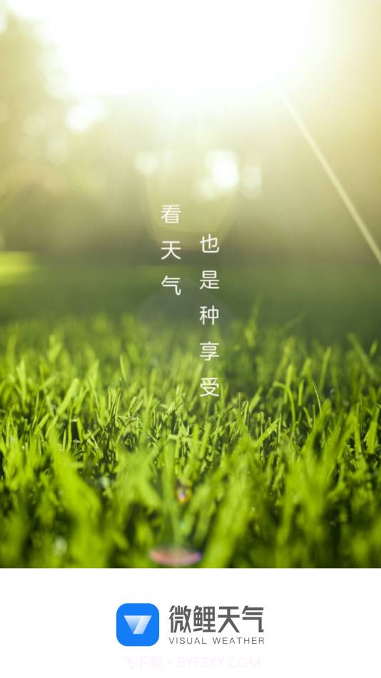 微鲤天气v1.0.1截图1