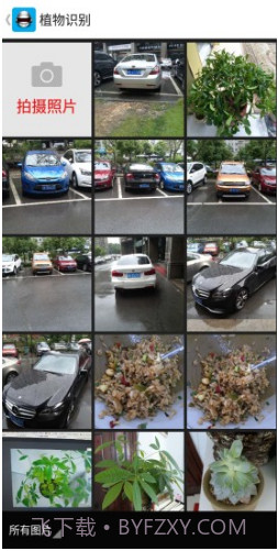 全能拍照识别(全能拍照识别使用方法)V1.4.5 安卓免费版截图3