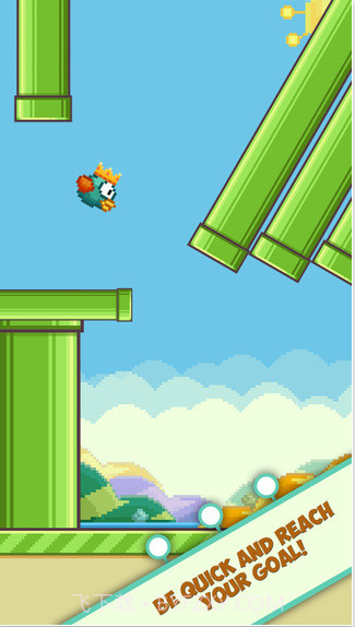 Crown Bird截图1 Crown Bird截图1