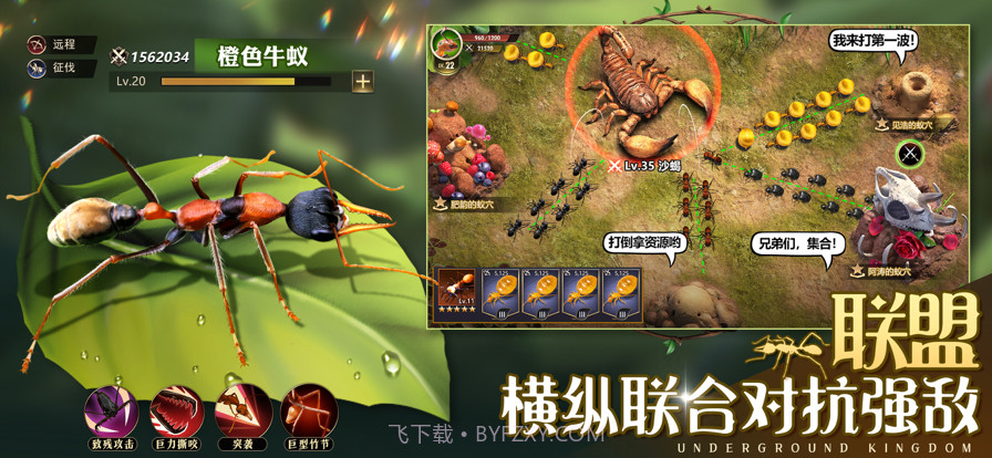 小小蚁国:真实蚂蚁世界截图5