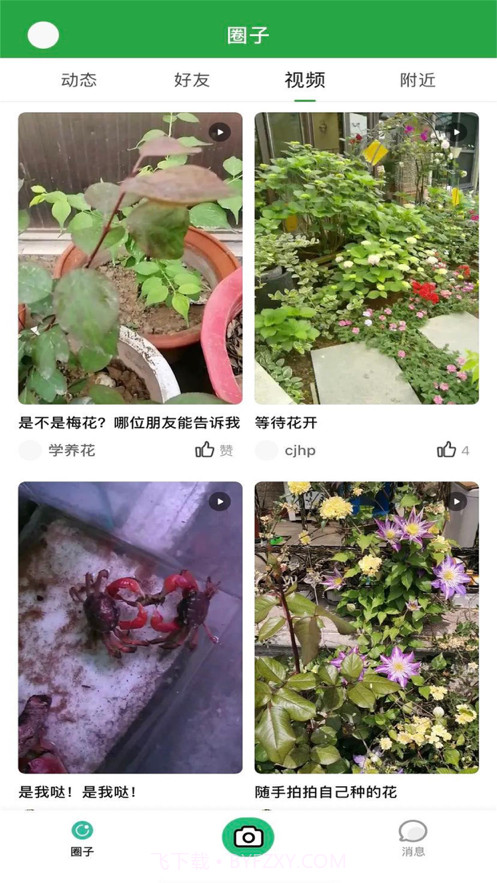 花草坑截图2 花草坑截图2