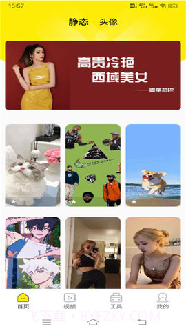 白狐壁纸视频截图3