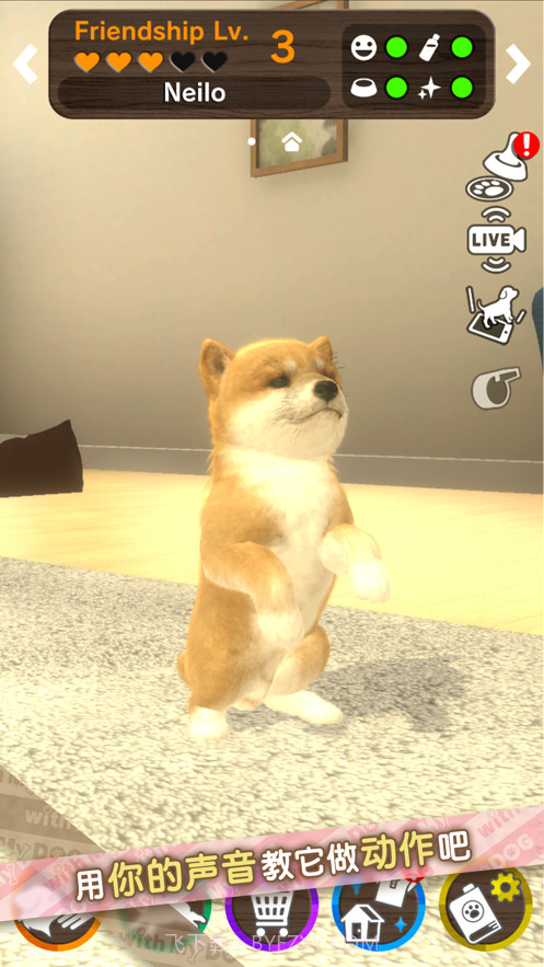 我的梦中情狗截图9