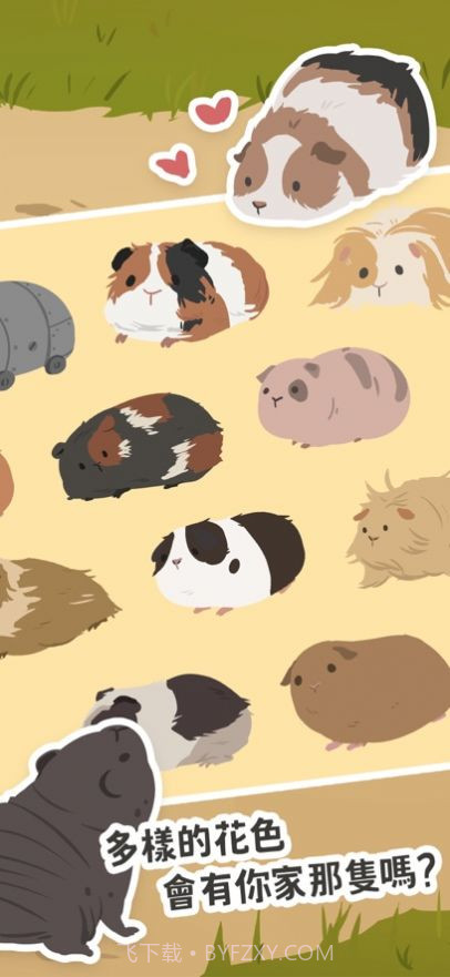 天竺鼠农场截图3 天竺鼠农场截图3