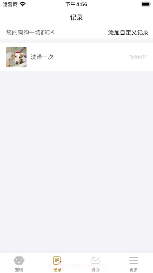 养狗小帮手截图3