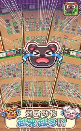 动物大风吹截图3