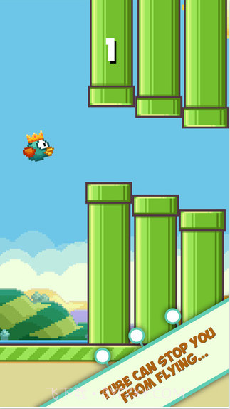 Crown Bird截图2 Crown Bird截图2