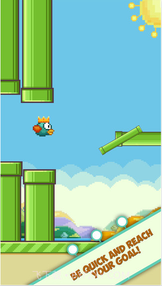 Crown Bird截图5 Crown Bird截图5