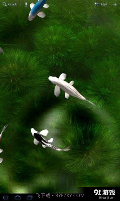 锦鲤3D动态壁纸截图1