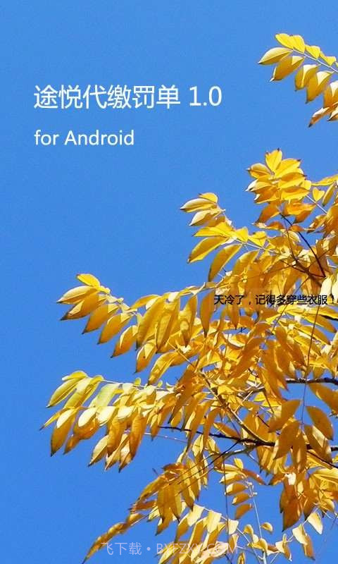 途悦违章查询截图1