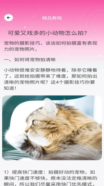 千颜秀拍摄截图3