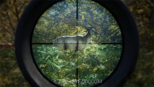 猎人荒野的召唤截图1 猎人荒野的召唤截图1