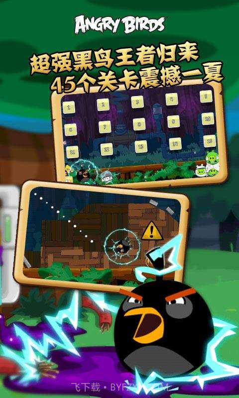 愤怒的小鸟 Angry Bird截图5
