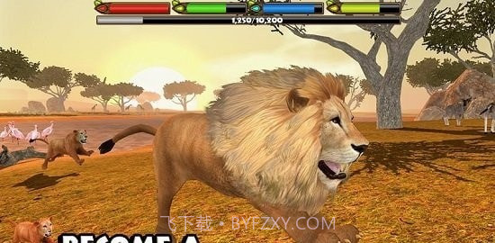 狮子模拟器2截图2 狮子模拟器2截图2