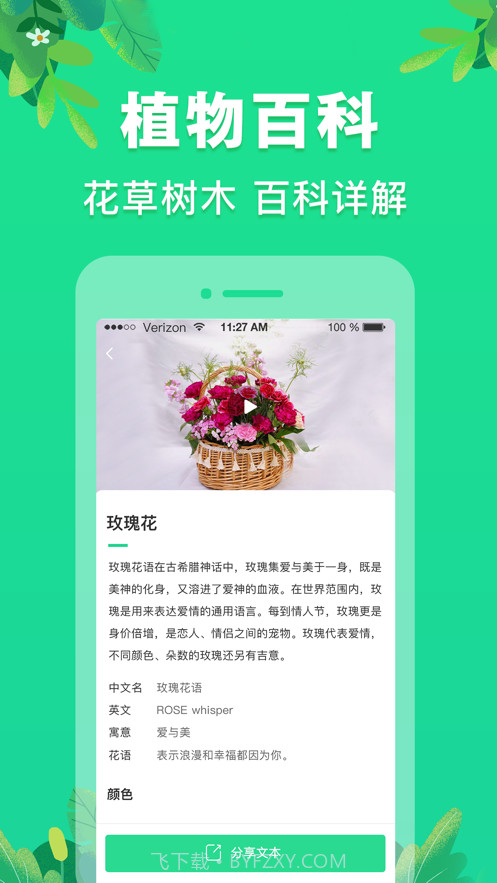 植物识别截图4