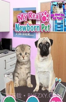 新生宠物兽医截图2