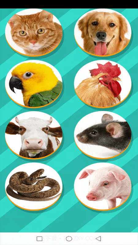 动物交流模拟器截图3